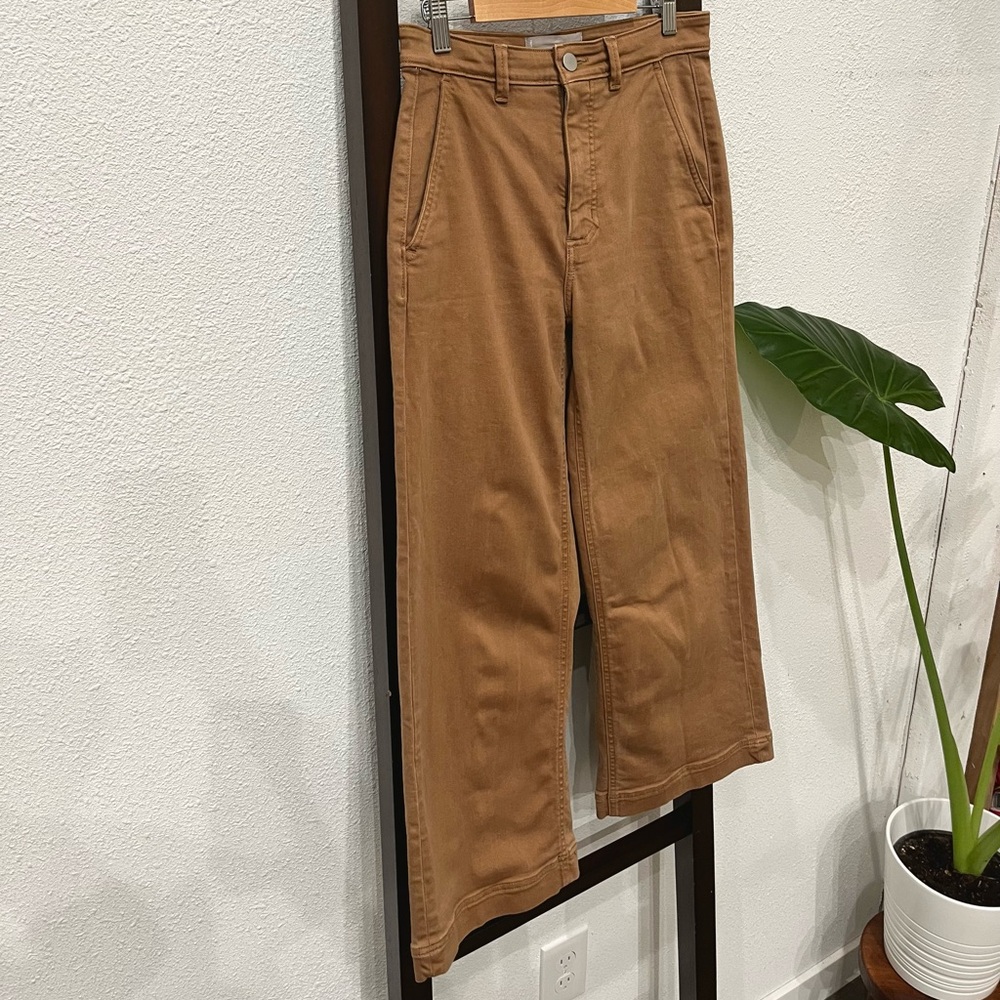 Everlane Wide-Leg Pants in Caramel Brown